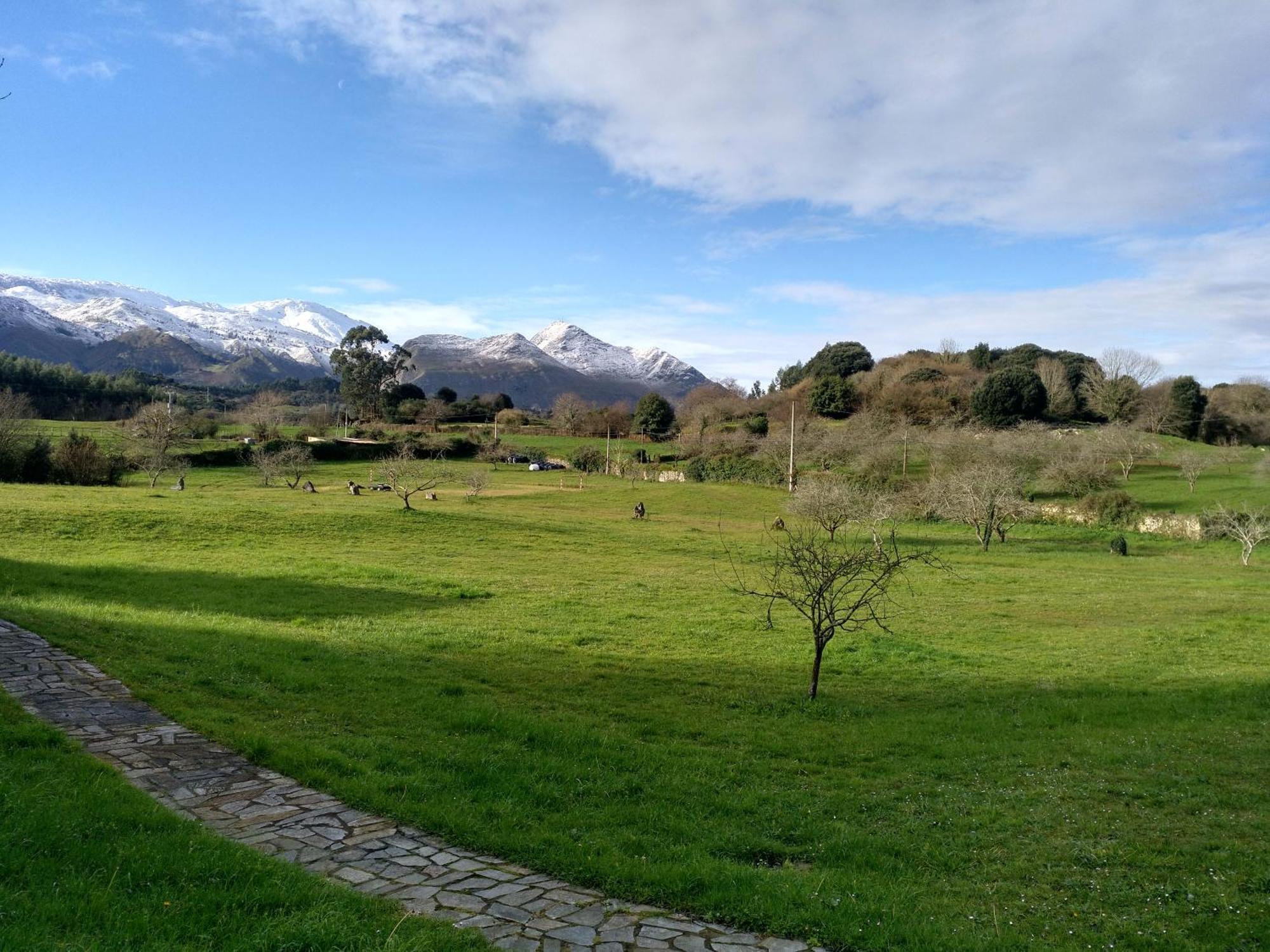 Turisticos Nieves Appartement *