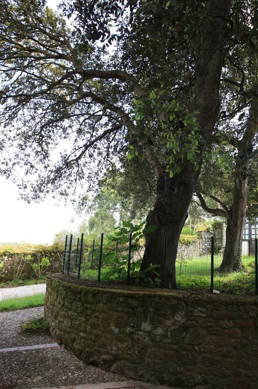 Appartement Turisticos Nieves